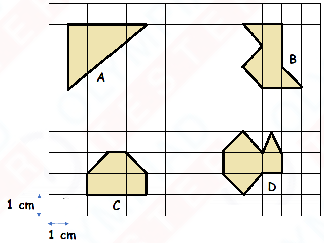 Class 3 IMO Mock Test - Set 3 | Olympiad Tester