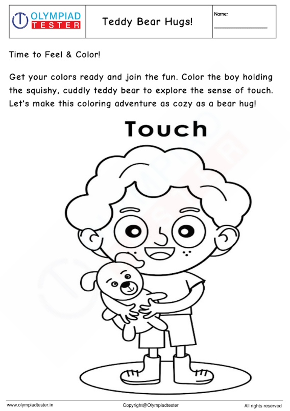 Kindergarten Worksheet : Sense of touch