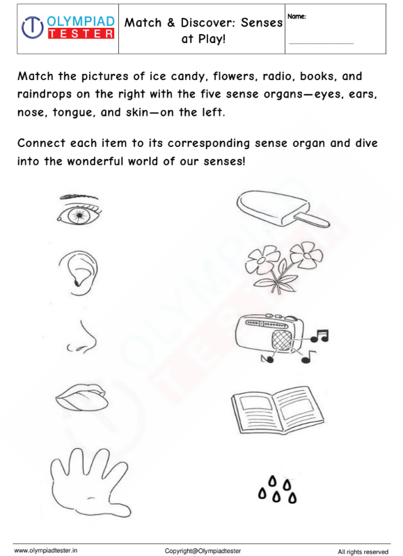 Kindergarten Worksheet: Sensory Match-Up Challenge: Explore with Five Senses!