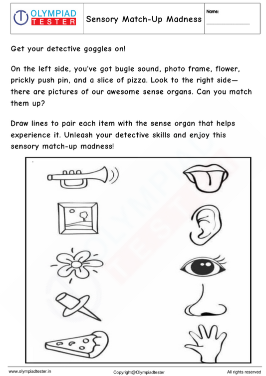 Kindergarten Worksheet :Sensory Match-Up Madness