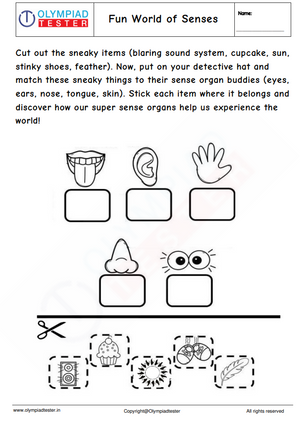 Kindergarten Cut & Paste Worksheet : Fun World of Senses