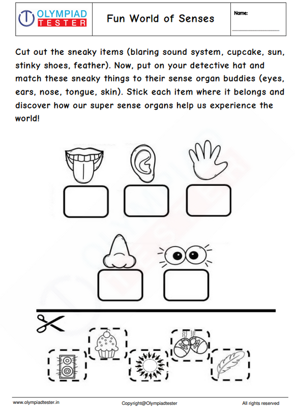 Kindergarten Cut &Paste Worksheet : Fun World of Senses