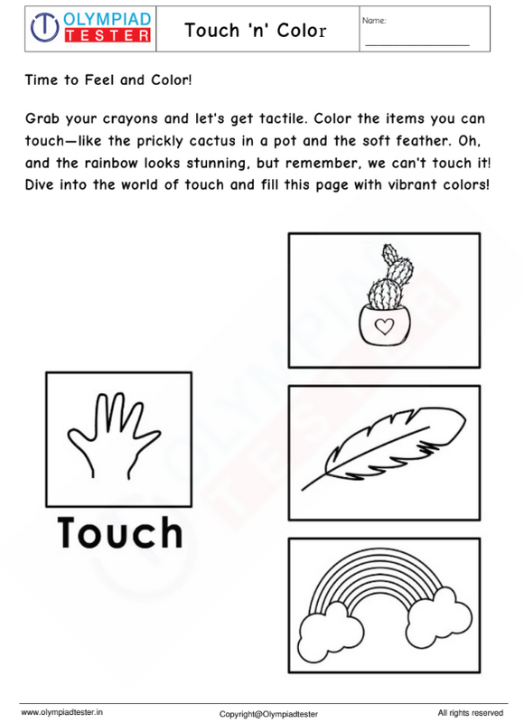 Kindergarten Worksheet : Sense of Touch 