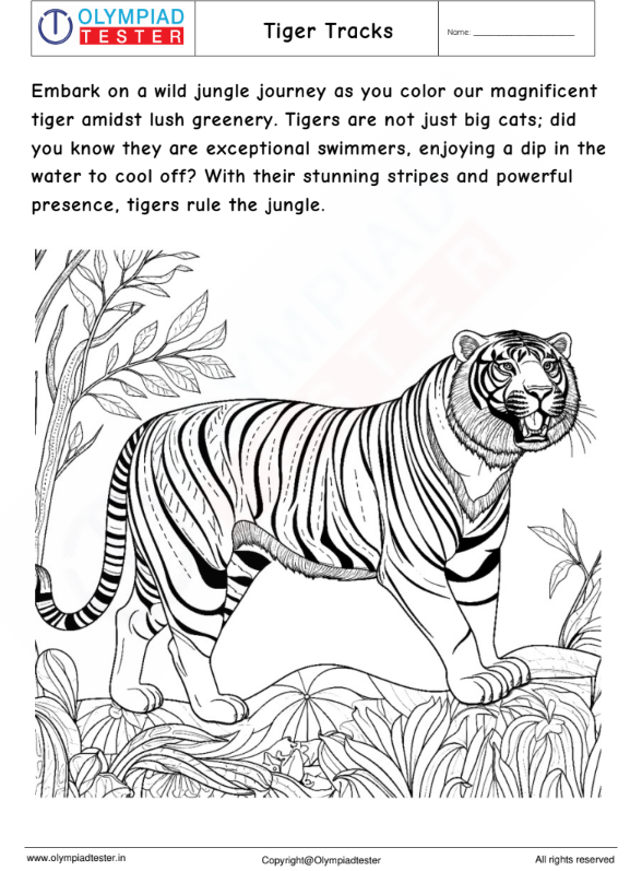 Tiger coloring Page | Olympiad tester