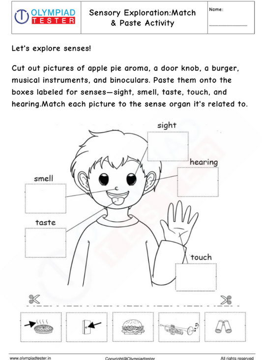 Sensory Exploration: Cut & Paste Worksheet for Kindergarten