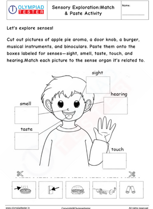 Sensory Exploration: Cut & Paste Worksheet for Kindergarten