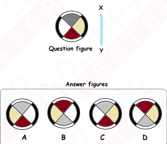 Class 3 IMO Previous Year Question Papers