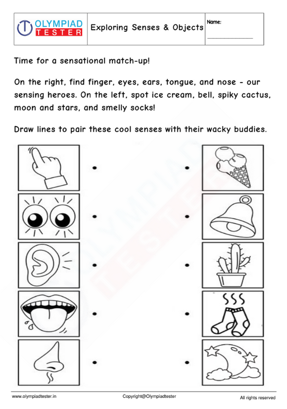Kindergarten Worksheet: Exploring Senses & Objects