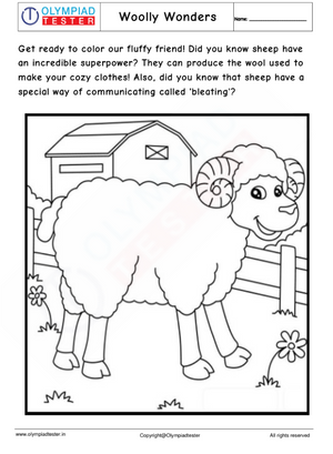 Woolly Wonders - Sheep Coloring Page