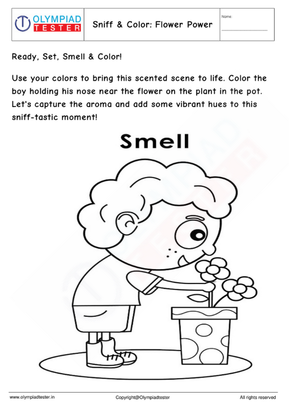 Kindergarten coloring worksheet on sense of smell
