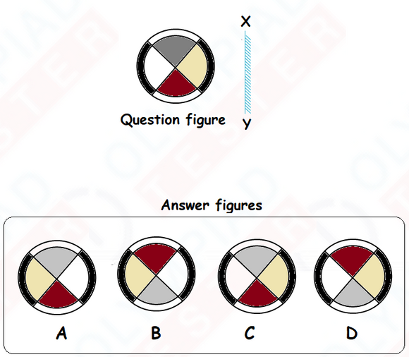 Class 3 IMO Previous Years Questions