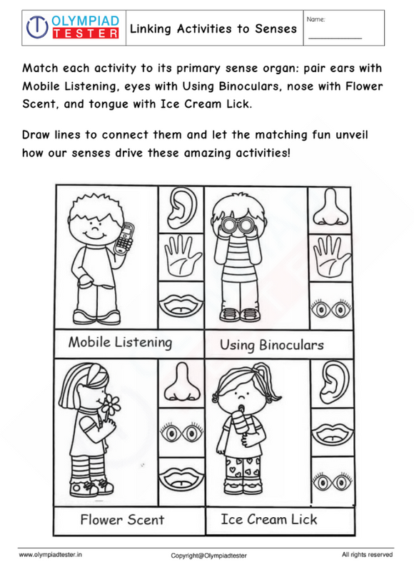 Kindergarten Worksheet: Linking Activities to Senses