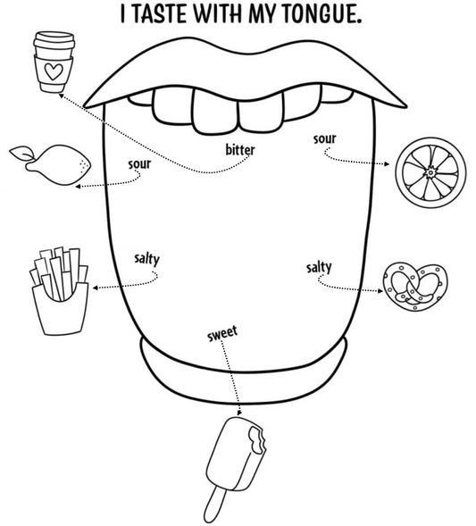 tobgure taste worksheet for kindergarten