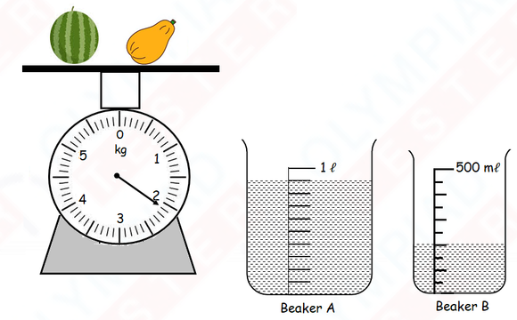 Class 3 Maths Measurement Worksheet For CBSE and Maths Olympiads