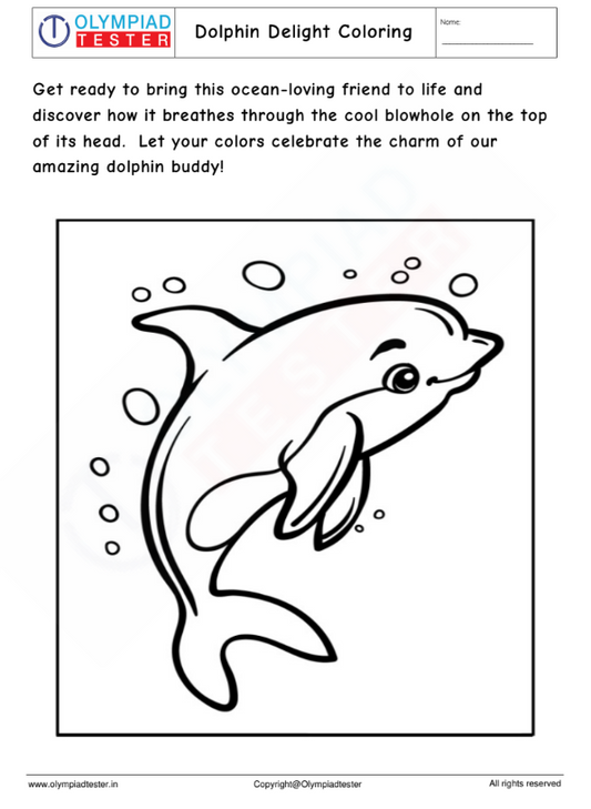 Dolphin Coloring Page