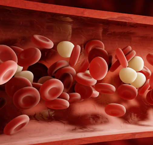 25 Amazing facts about human blood - The life saver