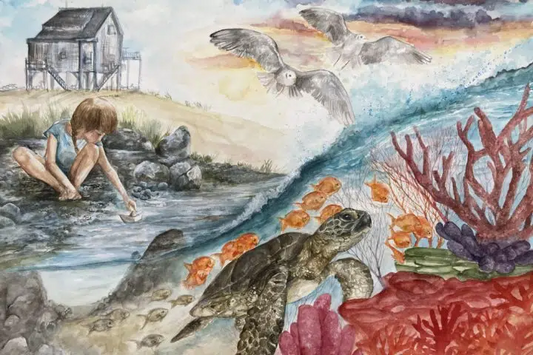 Bow Seat Ocean Awareness Competition 2024