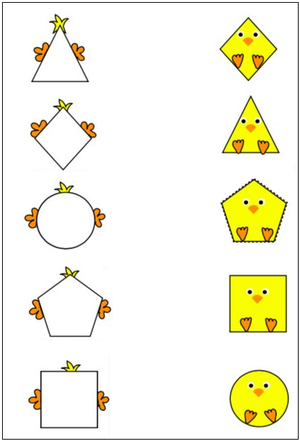 Chicks Shape Matching