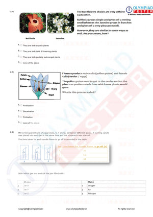 Class 4 NSO Science Olympiad Sample paper - Worksheet 7
