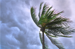 Class 7 Science - Winds, Storms, and Cyclones - Online test