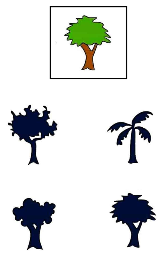 Kindergarten Shadow Matching Worksheet - Tree