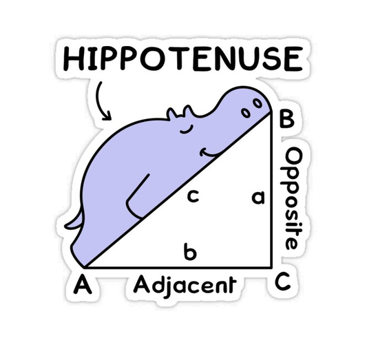 The best Geometry jokes