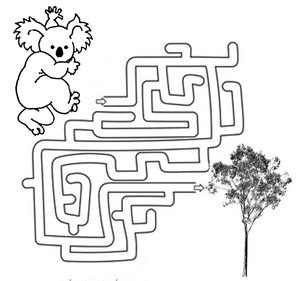 Koala Maze