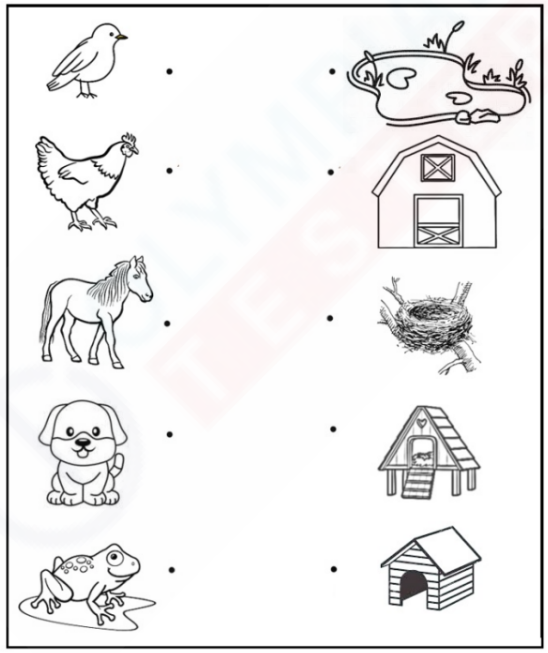 Animal Homes Matching Game for Kindergarten Kids | Olympiad tester