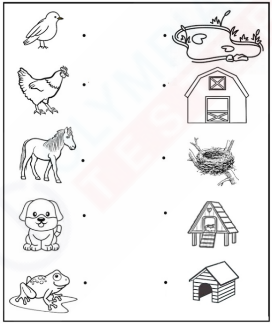 An illustration of a barn, a tree, a kennel, a coop, and a pond, with silhouettes of a horse, a bird, a dog, a hen, and a frog matching their respective homes.