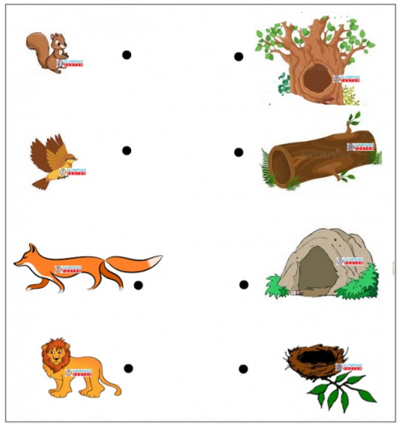 A worksheet with images of animal homes, including a tree hollow, bird nest, fox in a hollow log, and a lion in a cave, for matching with corresponding animal images.