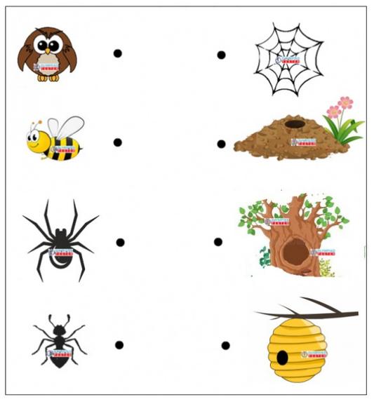 A colorful worksheet with animal images and their corresponding homes, including a fox in a burrow, ants in an underground tunnel, a bee hive, and a spider in a web. The title reads "Animal Homes Matching Worksheet."