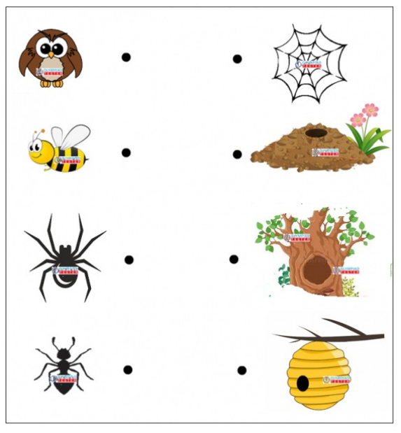 A colorful worksheet with animal images and their corresponding homes, including a fox in a burrow, ants in an underground tunnel, a bee hive, and a spider in a web. The title reads 