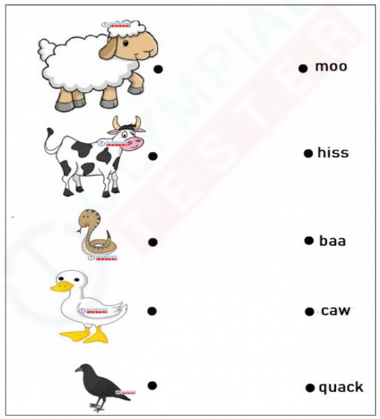 An image of the animal sound matching worksheet with the instructions "Match the sound with the animal". It includes pictures of a sheep, cow, snake, duck, and crow, and their corresponding sounds written next to them.