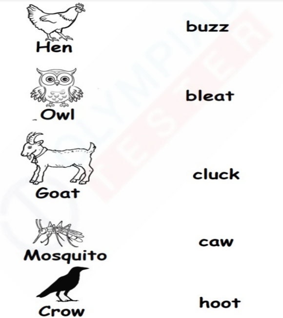 An animal sound matching worksheet for kindergarten with pictures of a hen, owl, goat, and mosquito.