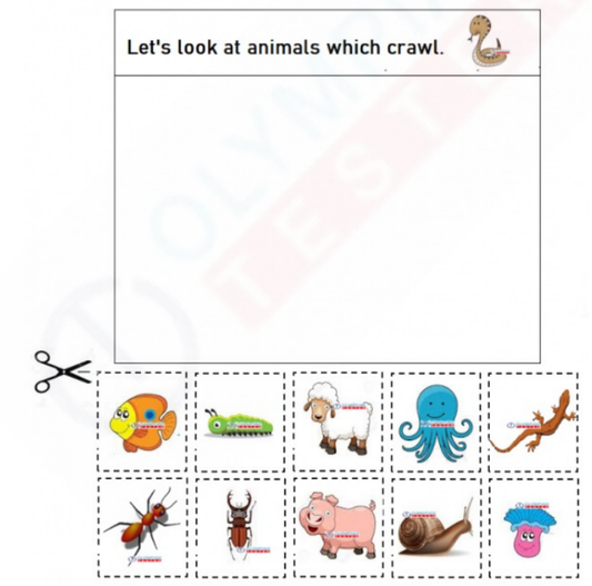 The free kindergarten worksheet has a box with the title "Let's Look at Animals Which Crawl" and pictures of various crawling animals like snails, worms, beetles, octopus, lizard, ant, pig, sea anemone, and fish.