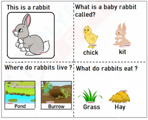 Hop into Learning with our Free Kindergarten Bunny Rabbit Worksheet