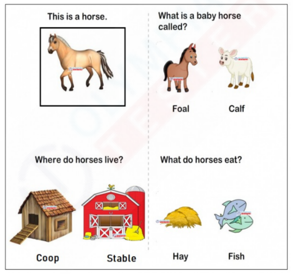 A colorful kindergarten worksheet with three sections featuring images of horses, including a foal, a stable, and a pile of hay.