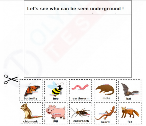 Illustrations of a mole, earthworm, chipmunk, and cockroach on a free kindergarten worksheet about animals underground.
