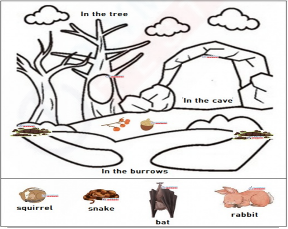 Illustrations of a snake, rabbit, bat, and squirrel on a free kindergarten worksheet about hibernation homes.