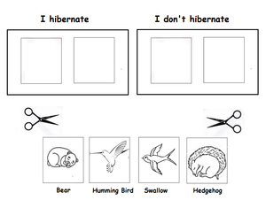 Hibernate or Migrate? Free Kindergarten Worksheet!