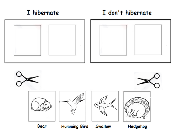 Illustration of a cute hedgehog and a majestic bear, with swallows and hummingbirds in the background, on a free kindergarten worksheet about hibernation and migration.