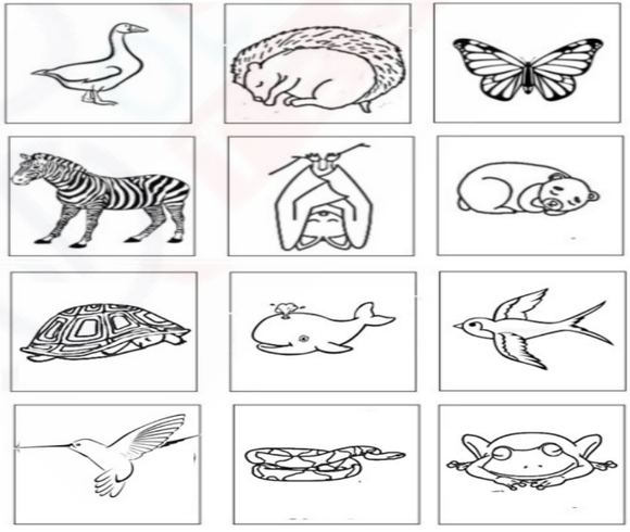 Illustration of a hedgehog hibernating in a nest made of leaves on a kindergarten worksheet about hibernating animals.