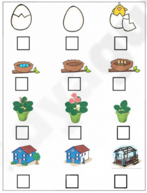 A worksheet with four sets of pictures for sequencing practice: egg to bird hatching, empty nest to chicks, small plant to flowering plant, house without wall paint to house with paint.