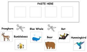 Free Kindergarten Worksheets- Animals 01