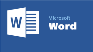 Class 3 NCO online sample test on MS-Word