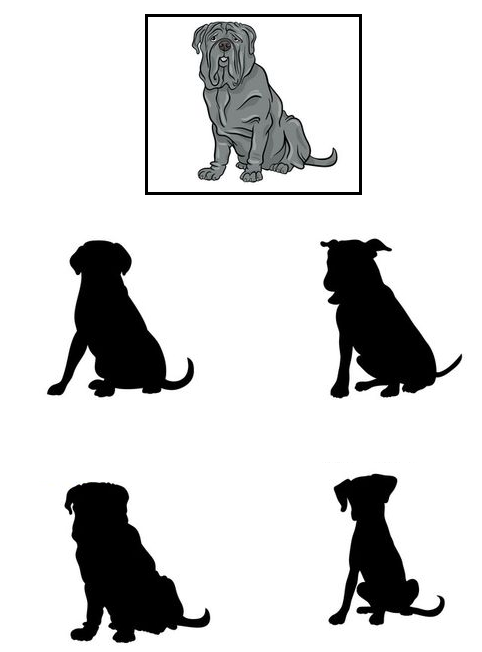 Download this free printable kindergarten worksheet on animal shadow matching as PDF.