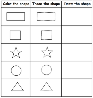 Shapes Review