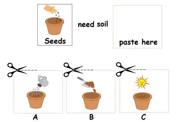 Download free indergarten worksheets for free on science. these worksheets for kindergarten teach the basics of plants.