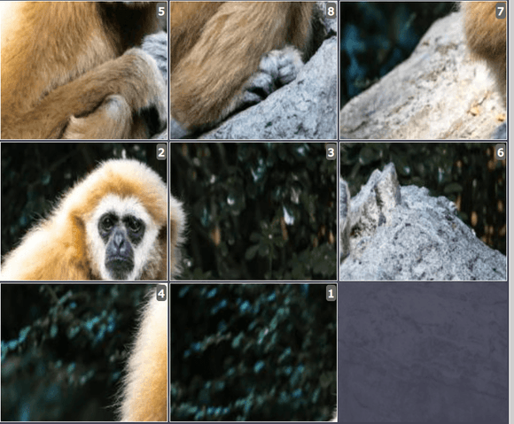 Online Brain games for kids - Jigsaw and Sliding puzzles on White handed Gibbon