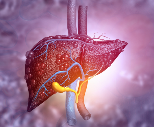 30 Amazing facts about the human liver